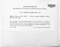 Image Associated With the Occurence